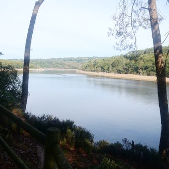 Lac de Gurlédan_04